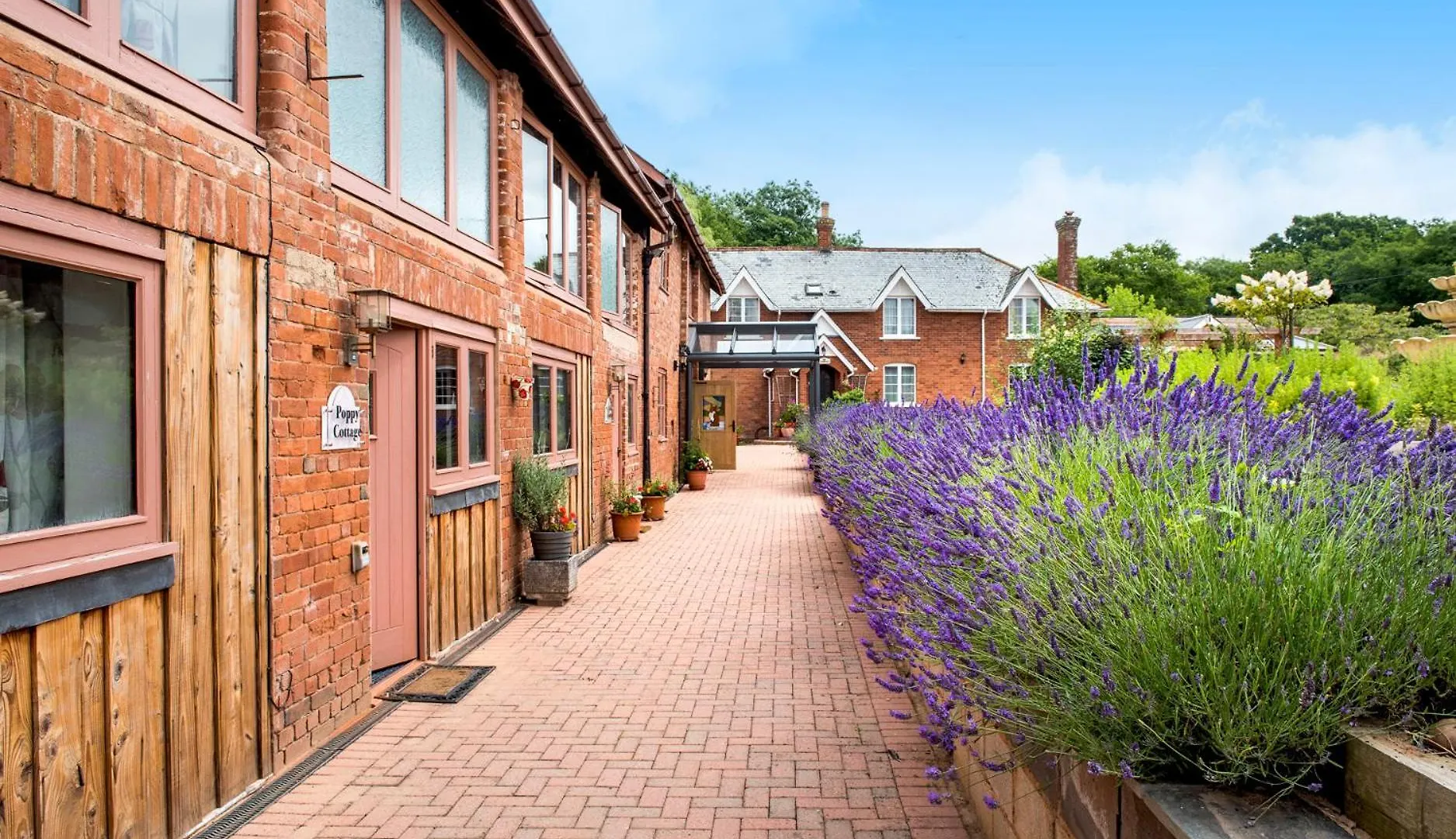 Ivy Cottage Exeter United Kingdom